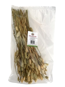 USZATKOWE RADY Mozga Kanaryjska Kłosy 50g