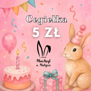 Jedzonko za 5 zł dla Mini Azylu u Małgosi