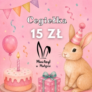 Jedzonko za 15 zł dla Mini Azylu u Małgosi  