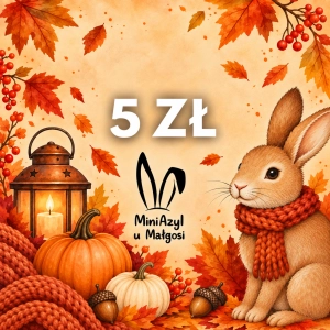 Jedzonko za 5 zł dla Mini Azylu u Małgosi