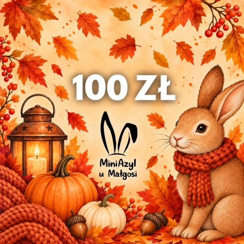 Jedzonko za 100  zł dla Mini Azylu u Małgosi  - AKCJA CHARYTATYWNA - cegiełki dla Mini Azylu u Małgosi - Uszatkowe Rady