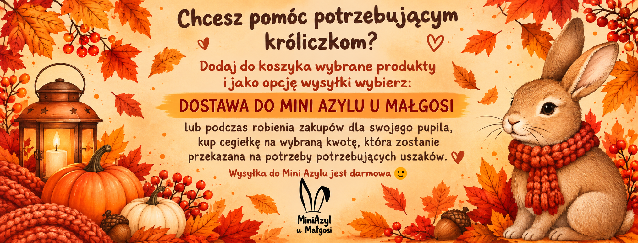 Mini Azyl u Małgosi