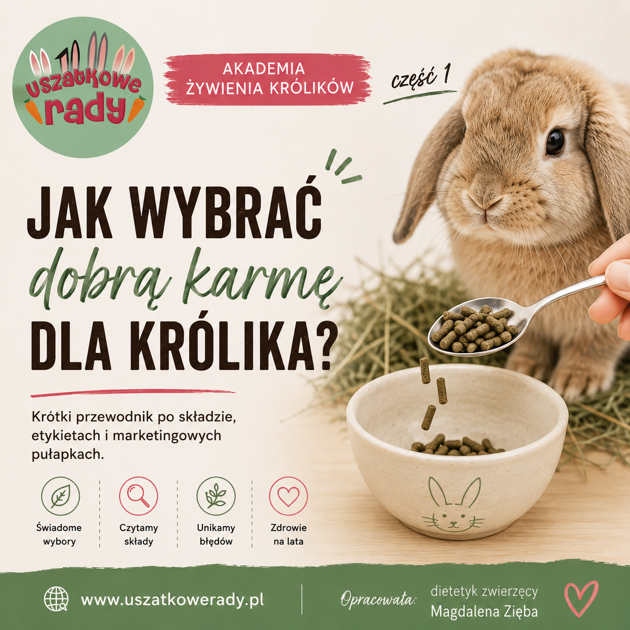 Jak wybrać dobrą karmę dla królika?